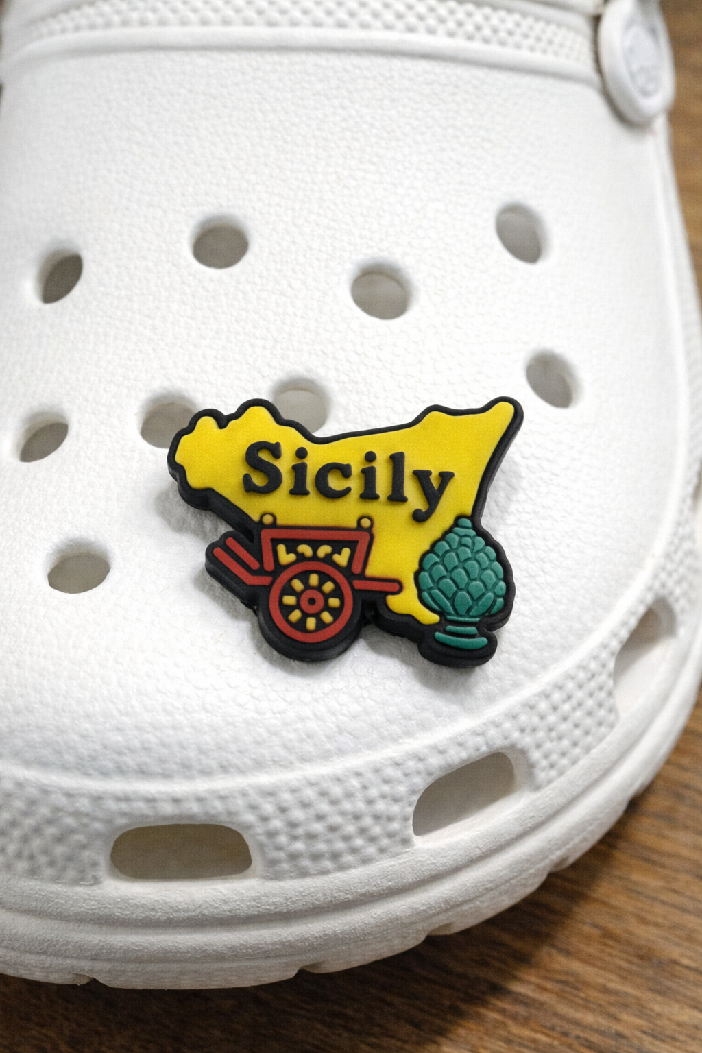 Sicily Elements Croc Charm